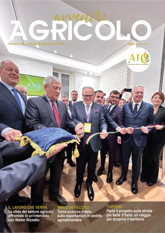 bilanci fine anno programmazione agricoltura AIC 2025